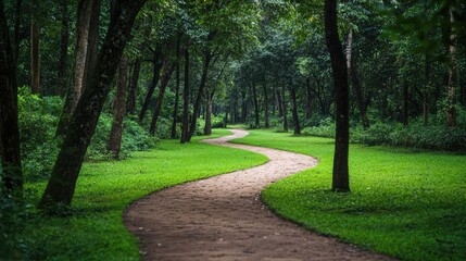 Fototapeta premium Golf course path leading through a wooded area
