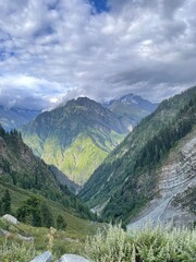 Fototapeta premium landscape in the summer