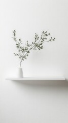 Minimalist Plant Arrangement on a White Shelf - A Simple and Elegant Home Decor