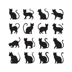 Cats Silhouettes Cats Set of silhouettes black cat, on white background. Vector Cats behavior 