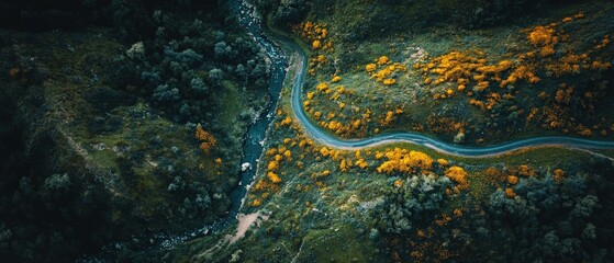 Winding river journey through scenic green hills aerial view nature landscape vibrant autumn colors