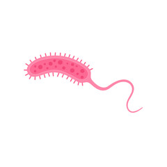 Vibrio cholerae illustration