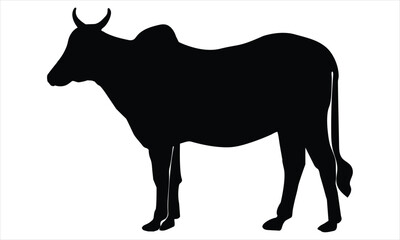 silhouette of a cow
