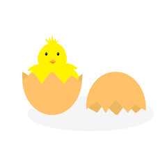 Little chicken with cracked egg shell vector