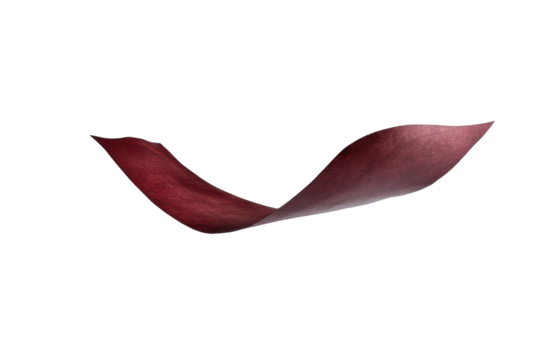 "Graceful Floating Maroon Bookmark with Elegant Design"