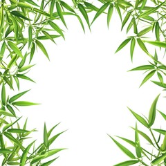 Naklejka premium Lush Green Bamboo Leaves Frame White Background