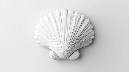 Exquisite White Seashell Minimalist Composition with Captivating Textural Details
