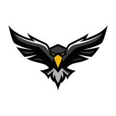 Obraz premium Design a sleek falcon mascot logo.