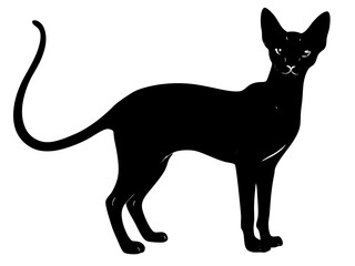 peterbald cat black silhouette vector, Simple silhouette Design vector icon with white background