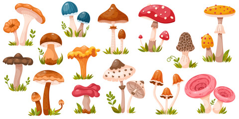 Collection of various colorful mushrooms. Set of edible and poisonous forest mushrooms. Forest grass and leaves. Cartoon vector illustration isolated on a white background.