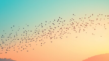 Birds flocking in sunset sky.