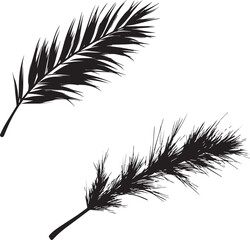 Obraz premium Pine leaf silhouette isolated on white background