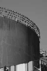 ruins of old factories in the Ravenna dock area
