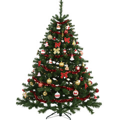 A freshly cut Christmas tree with ornaments. png isolated background. transparent background.