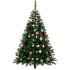 A freshly cut Christmas tree with ornaments. png isolated background. transparent background.