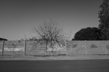 ruins of old factories in the Ravenna dock area