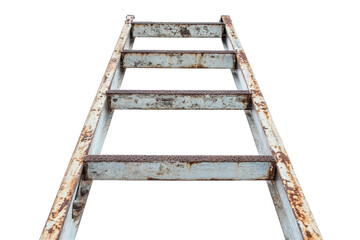 "Durable Steel Ladder for Professional and Home Use"