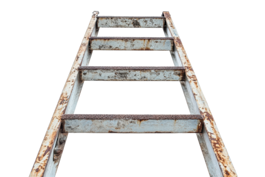 "Durable Steel Ladder for Professional and Home Use"