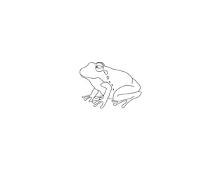 frog  victor  desing