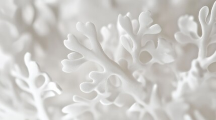 A close-up shot of a white plant with numerous leaves