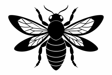 Bee silhouette insect silhouette vector silhouette of bee. A bee with a black face and wings that says bee