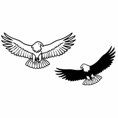 eagle in flight