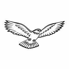 Obraz premium dove of peace