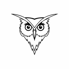 black and white bird