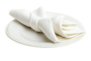 Elegant Folded Napkin for Fine Dining