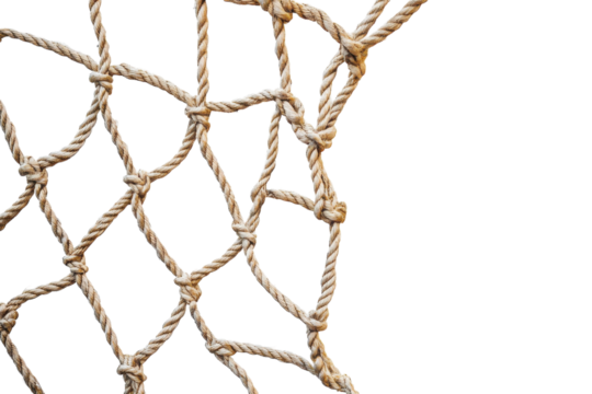 Worker Using a Net to Catch Fish in the Ocean