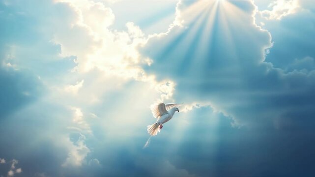 A white dove in the sky. A symbol of the holy spirit. Religion and culture. Christianity and Orthodoxy. Easter. The concept of freedom. Spirit and soul