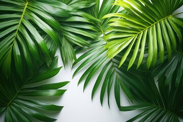 A group of fresh green leaves placed on a clean white surface