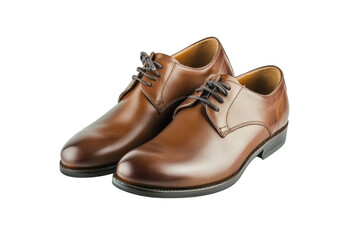 Stylish Pair of Leather Shoes for Everyday Wear
