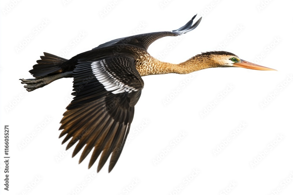 Aufkleber a duck soaring through the air with its wings outstretched, capturing a moment of freedom and joy
