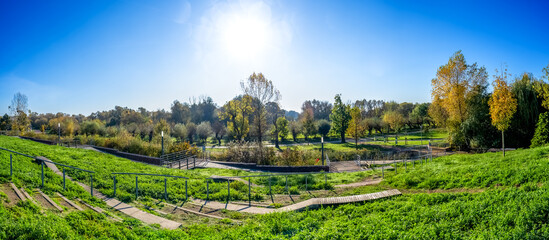 Kopfweidenalleen, Coswig, Anhalt, Deutschland 