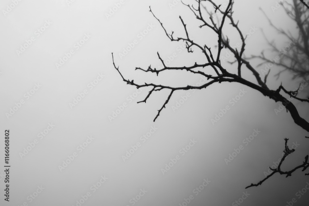 Poster A monochromatic image of a bare tree trunk, ideal for use in minimalist designs or as a symbol