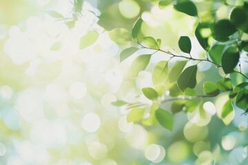 A detailed shot of a tree branch with intricate details and textures