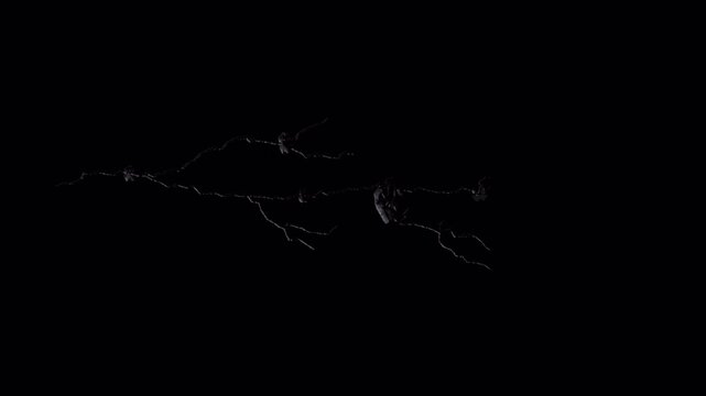 Collapsed ceiling Falling boards, sheetrock, and other debris effect background footage motion graphics, or as a background or overlay 4K drag and drop editing software supporting blending modes.