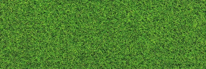 Lush green grass texture, seamless pattern, close-up view, vibrant lawn, sports field turf, natural background, detailed grass blades, fresh spring grass, golf course putting green, manicured lawn, hi
