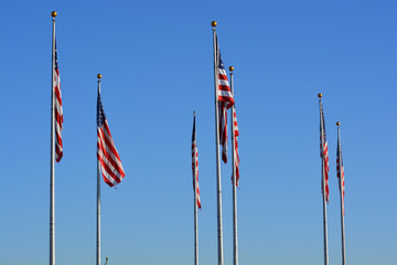 American flags