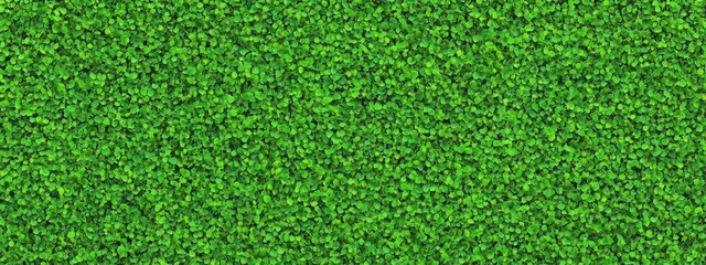 Fototapeta premium Lush green grass texture, seamless pattern, close-up view, vibrant lawn, sports field turf, natural background, detailed grass blades, fresh spring grass, golf course putting green, manicured lawn, hi
