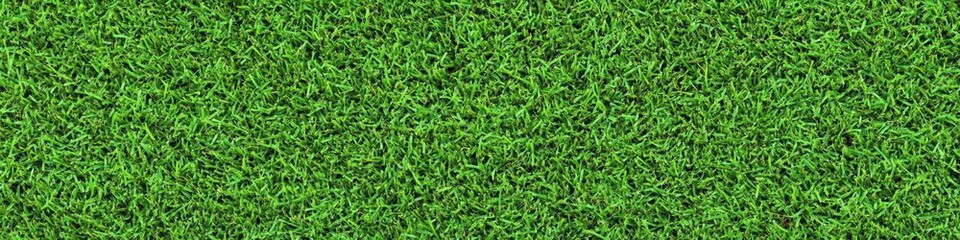 Lush green grass texture, seamless pattern, close-up view, vibrant lawn, sports field turf, natural background, detailed grass blades, fresh spring grass, golf course putting green, manicured lawn, hi