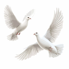 Obraz premium Isolated Vector Illustration of World Peace Day Doves Icon for Designs