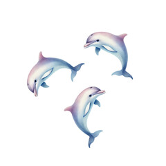 Obraz premium Clipart of watercolor illustration of jumping and swimming dolphins on transparent png isolated background. Nautical set of orca