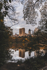 Vibrant and diverse scenes of New York City, showcasing iconic landmarks, urban architecture, and bustling street life