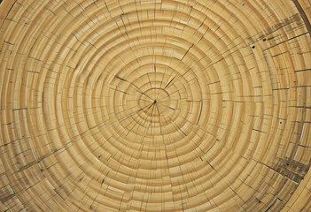 Fototapeta premium Tree Ring Texture Natural Concentric Patterns of Growth and Age background design