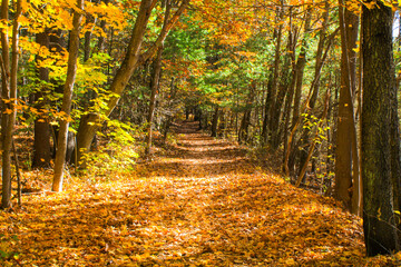 New England hiking with Fall Foliage 