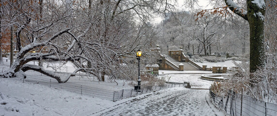 Central Park in winter , during snow storm