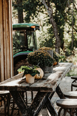 rustic fall table display with a mum, pumpkin and bird house and a tractor in the background