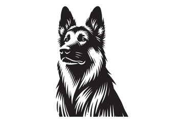 German Shepherd portrait